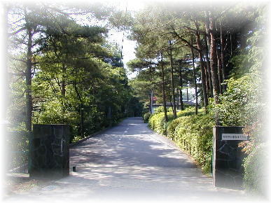 �����H�ꐳ�ʌ���